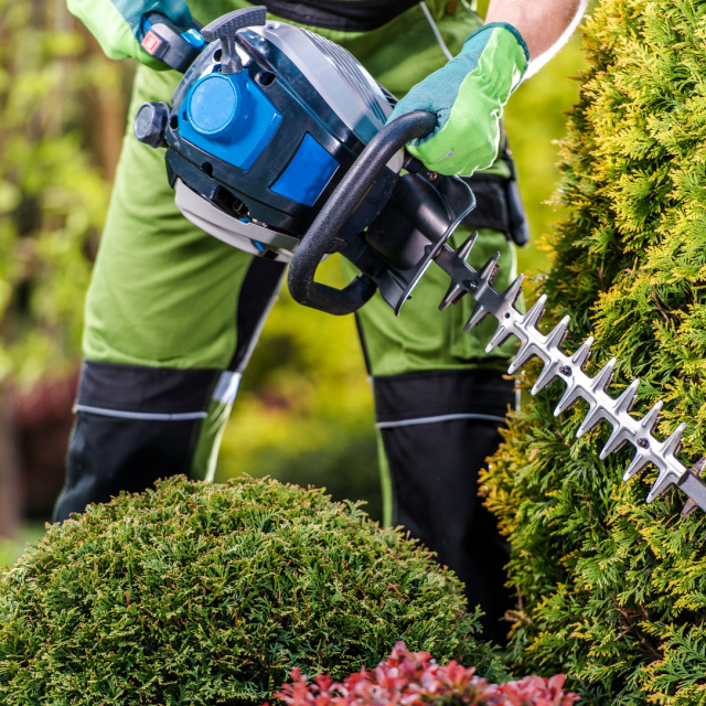 CT-Mietshop – Gartengestaltung – Gartenpflege CT-Mietshop - Gartengestaltung - Gartenpflege