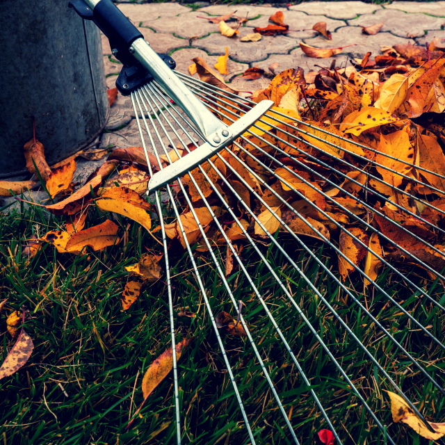 CT-Mietshop – Gartenpflege – Herbst CT-Mietshop - Gartenpflege - Herbst